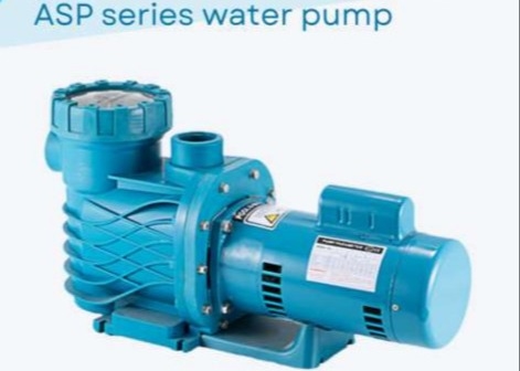 ASP100 ปั๊มน้ําสระว่ายน้ํา สําหรับการใช้สระว่ายน้ํา