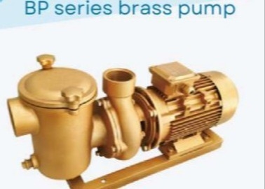BP30 ปั๊มน้ําสระว่ายน้ํา สําหรับสระว่ายน้ํา