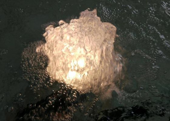 80 L / M 1 นิ้ว Dancing Fountain Jet Nozzle พร้อมหลอดไฟ