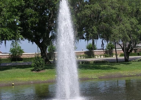 หอน้ำแข็งสแตนเลส DN80 Water Fountain Jet สำหรับสระว่ายน้ำ